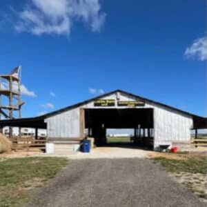 barn-animal-bucket-of-feed