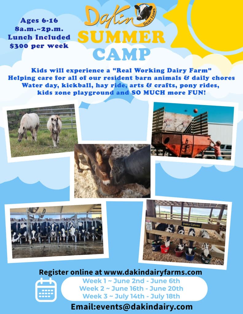 dakin-dairy-summer-camp-2025